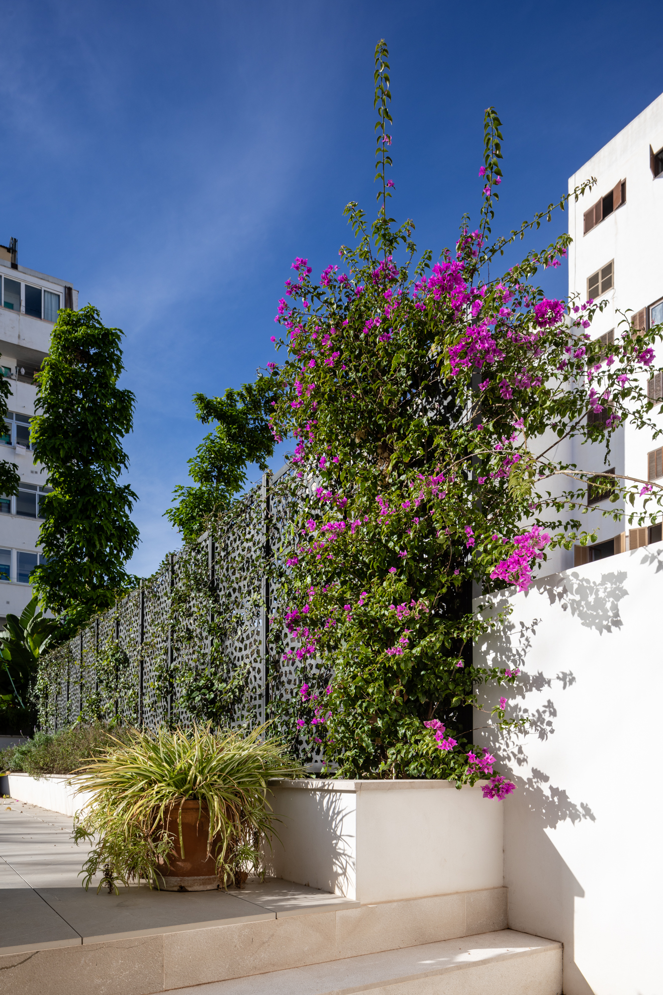 TS_MIQUEL_MARQUES_PROOFS-32